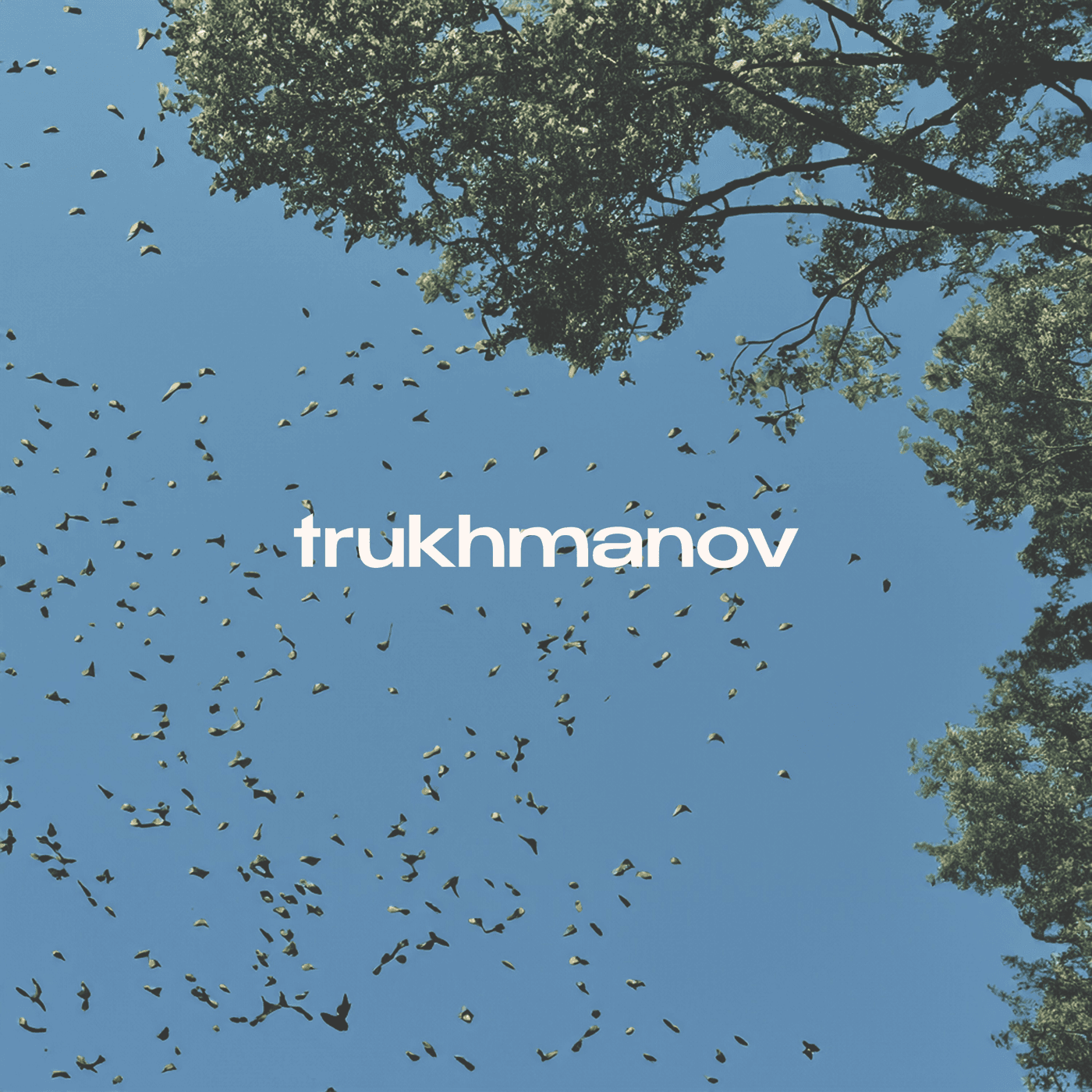 Обложка бита Birdsong