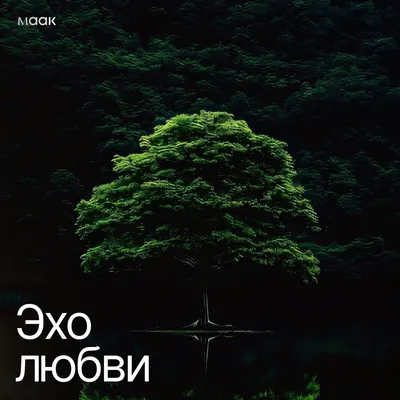 Эхо любви