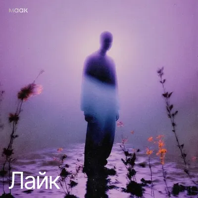 Лайк