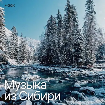 Музыка из Сибири