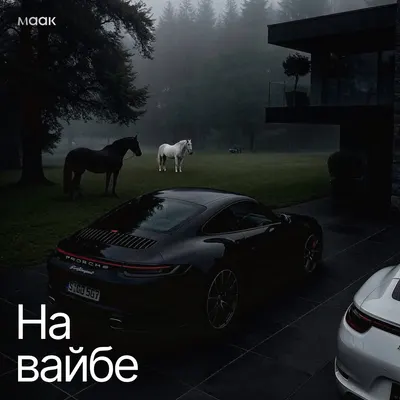 На вайбе