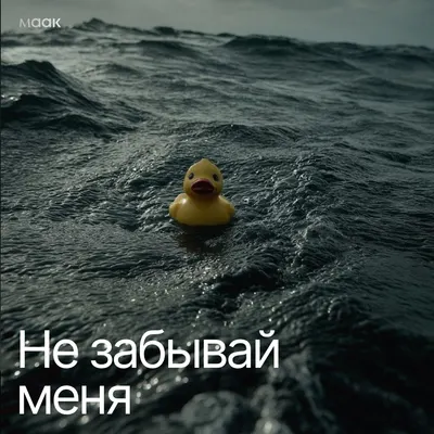 Не забывай меня