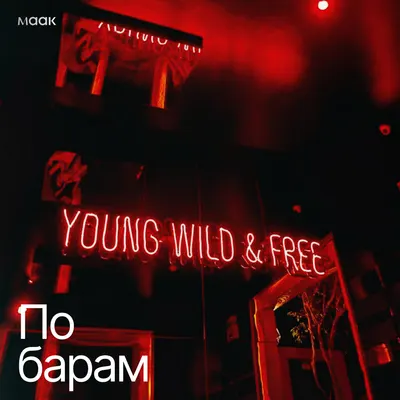 По барам