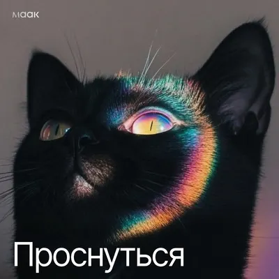 Проснуться