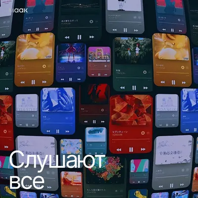 Слушают все