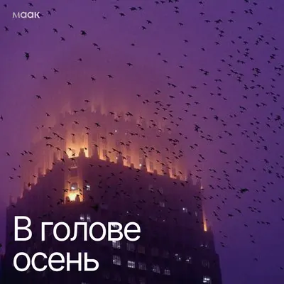 В голове осень