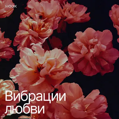 Вибрации любви