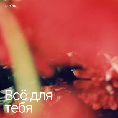 Всё для тебя